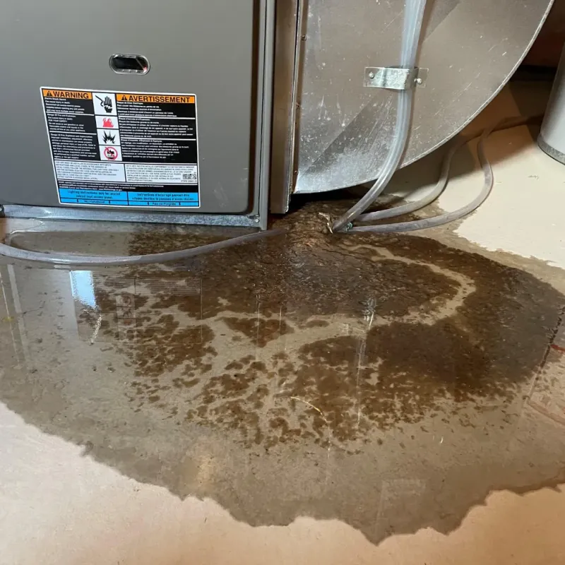 Appliance Leak Cleanup in Highland Lakes, AL